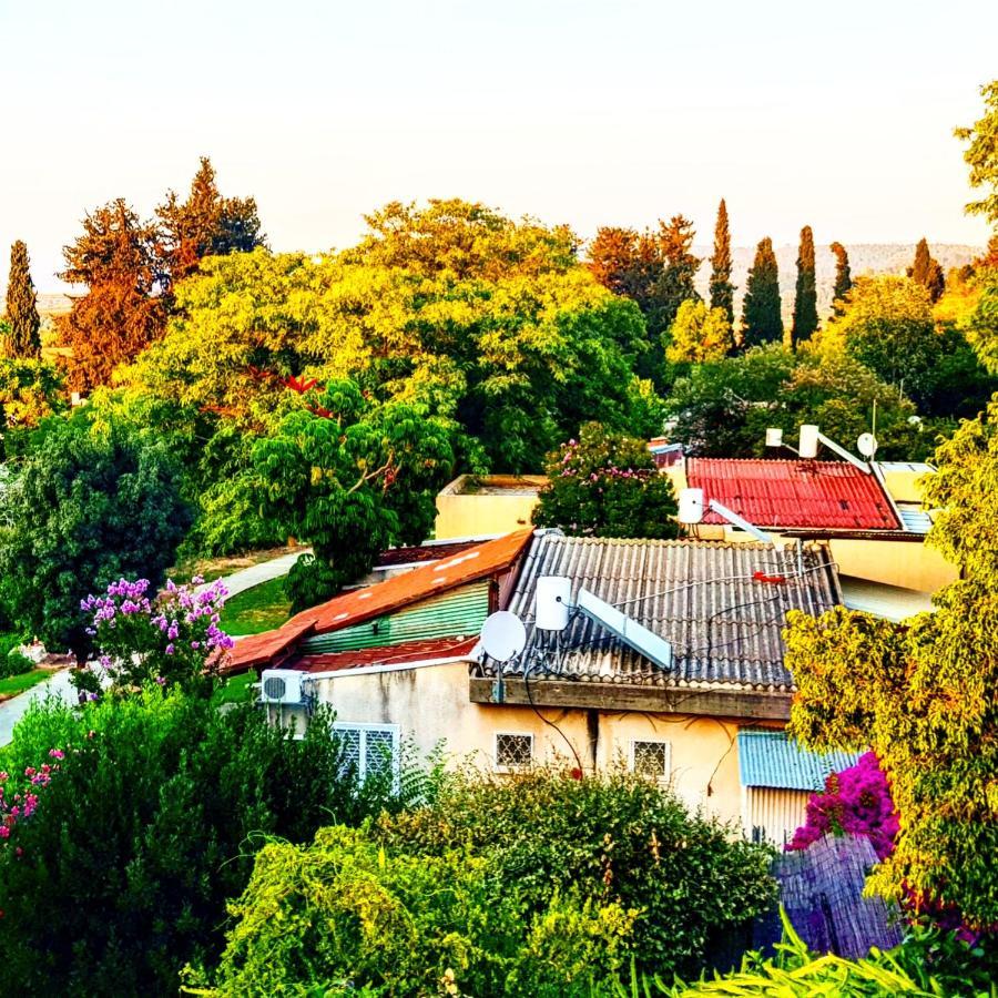 Bed and Breakfast Kibbutz Nachshon Exteriér fotografie